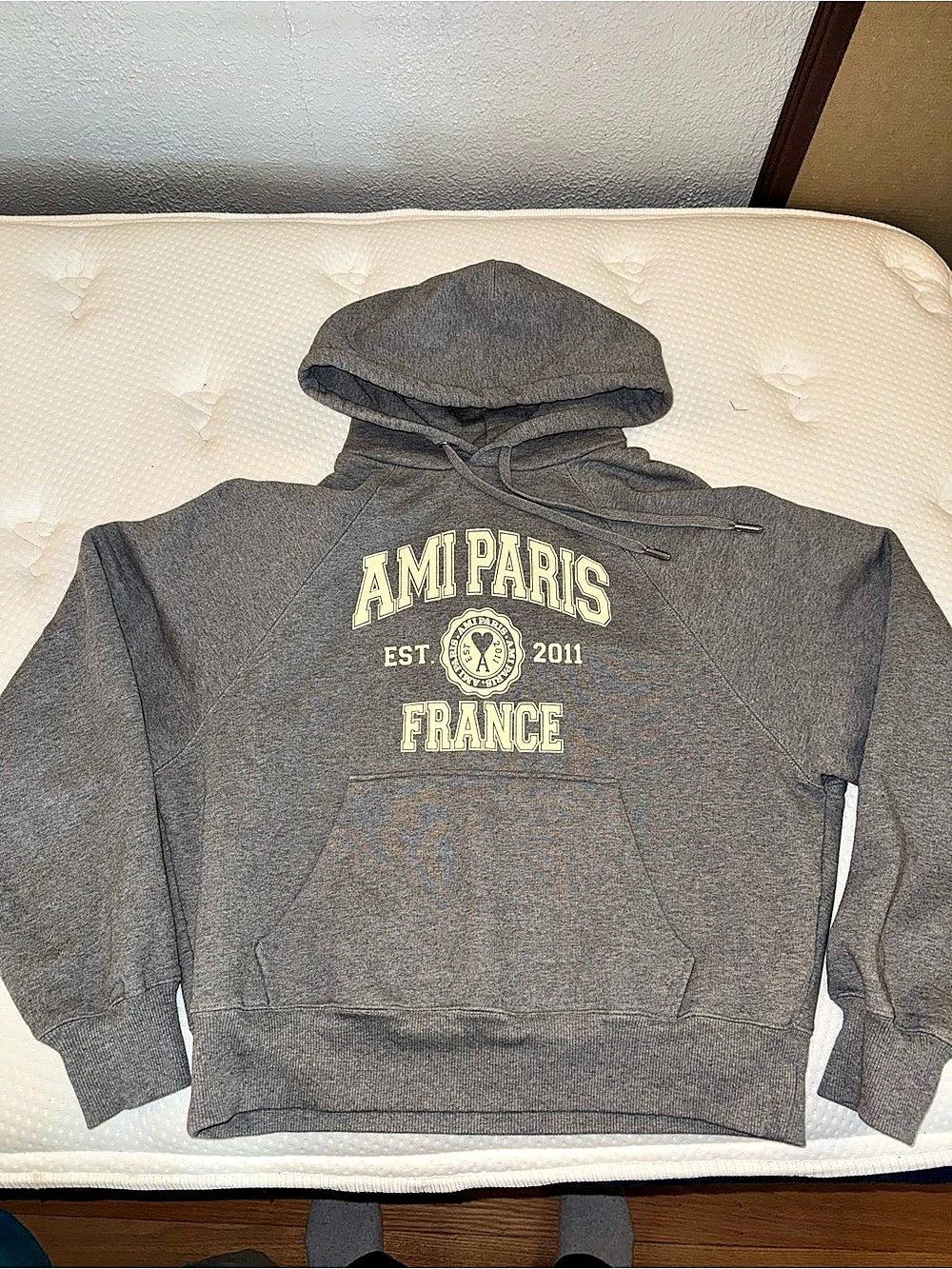Ami Gray Collegiate Graphic Pullover Hoodie